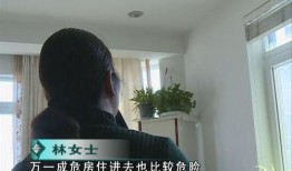 深圳曹女士最新爆料,揭秘某事件背后惊人真相
