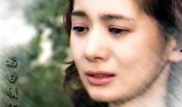 回旋木马韩剧在线观看,韩剧在线观看，揭秘都市爱情漩涡